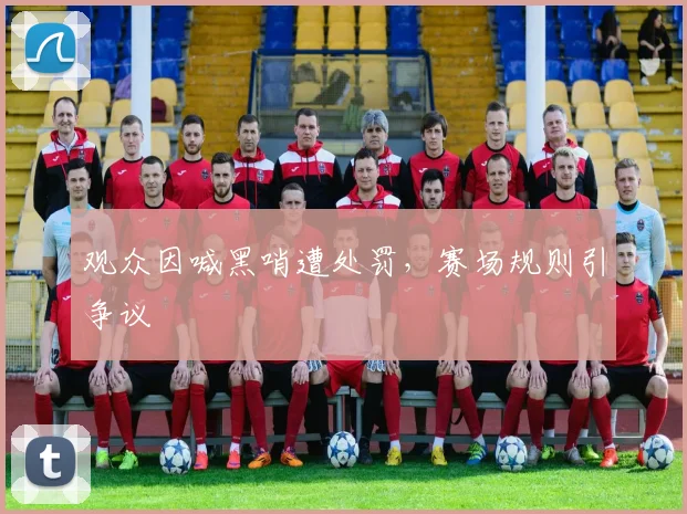 观众因喊黑哨遭处罚,赛场规则引争议
